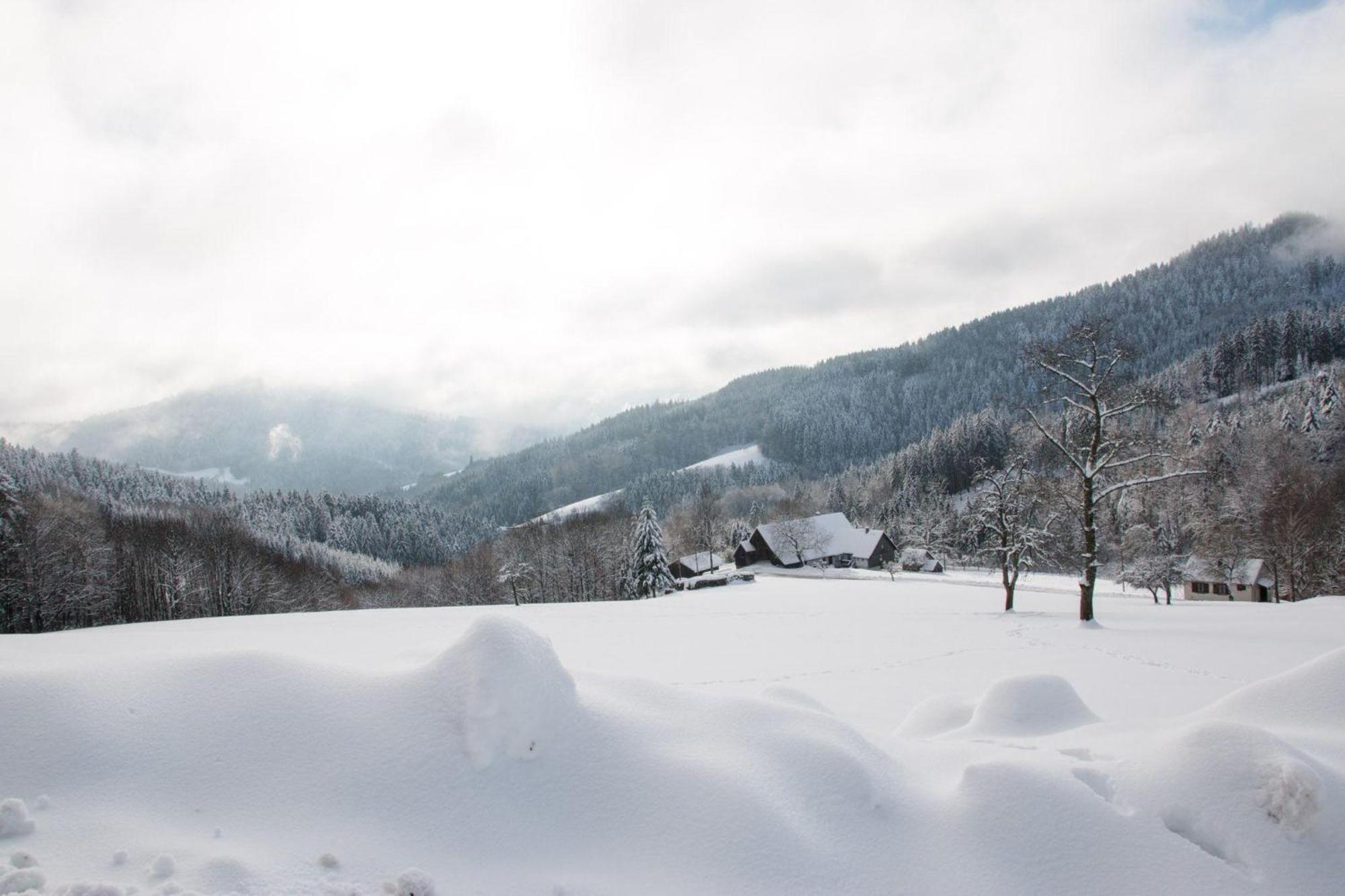Ferienwohnung Am Kapellenberg - Am Rande Des Nationalparks Schwarzwald Бад-Петерсталь-Грисбах Экстерьер фото