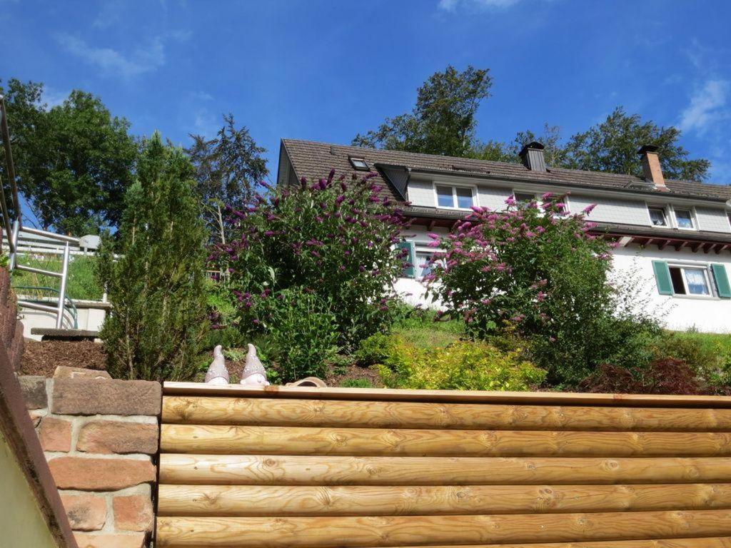 Ferienwohnung Am Kapellenberg - Am Rande Des Nationalparks Schwarzwald Бад-Петерсталь-Грисбах Экстерьер фото