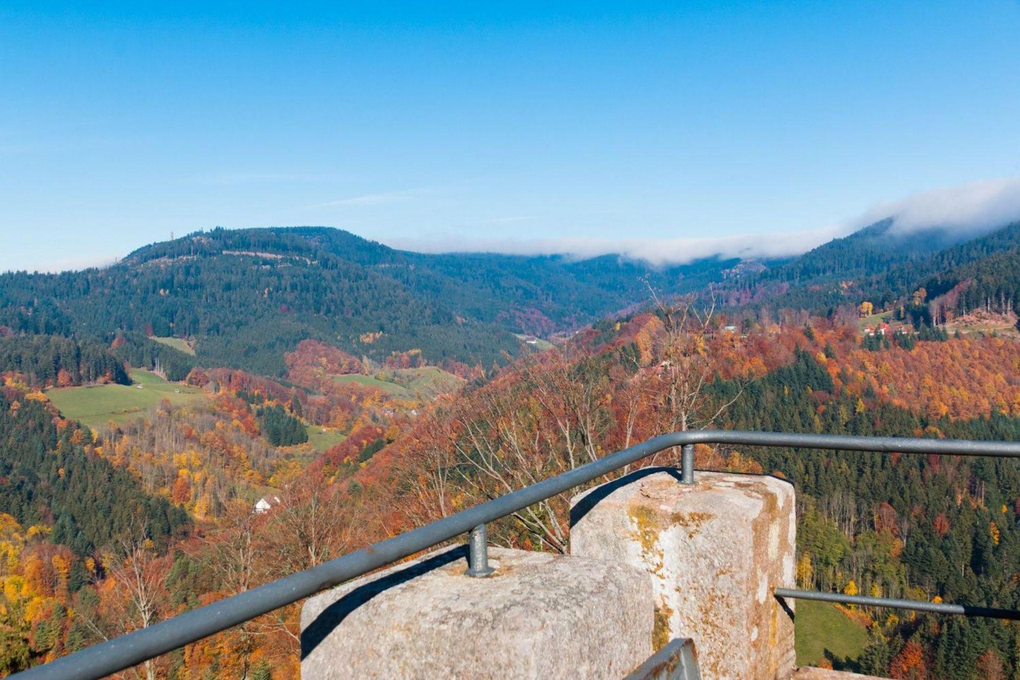 Ferienwohnung Am Kapellenberg - Am Rande Des Nationalparks Schwarzwald Бад-Петерсталь-Грисбах Экстерьер фото