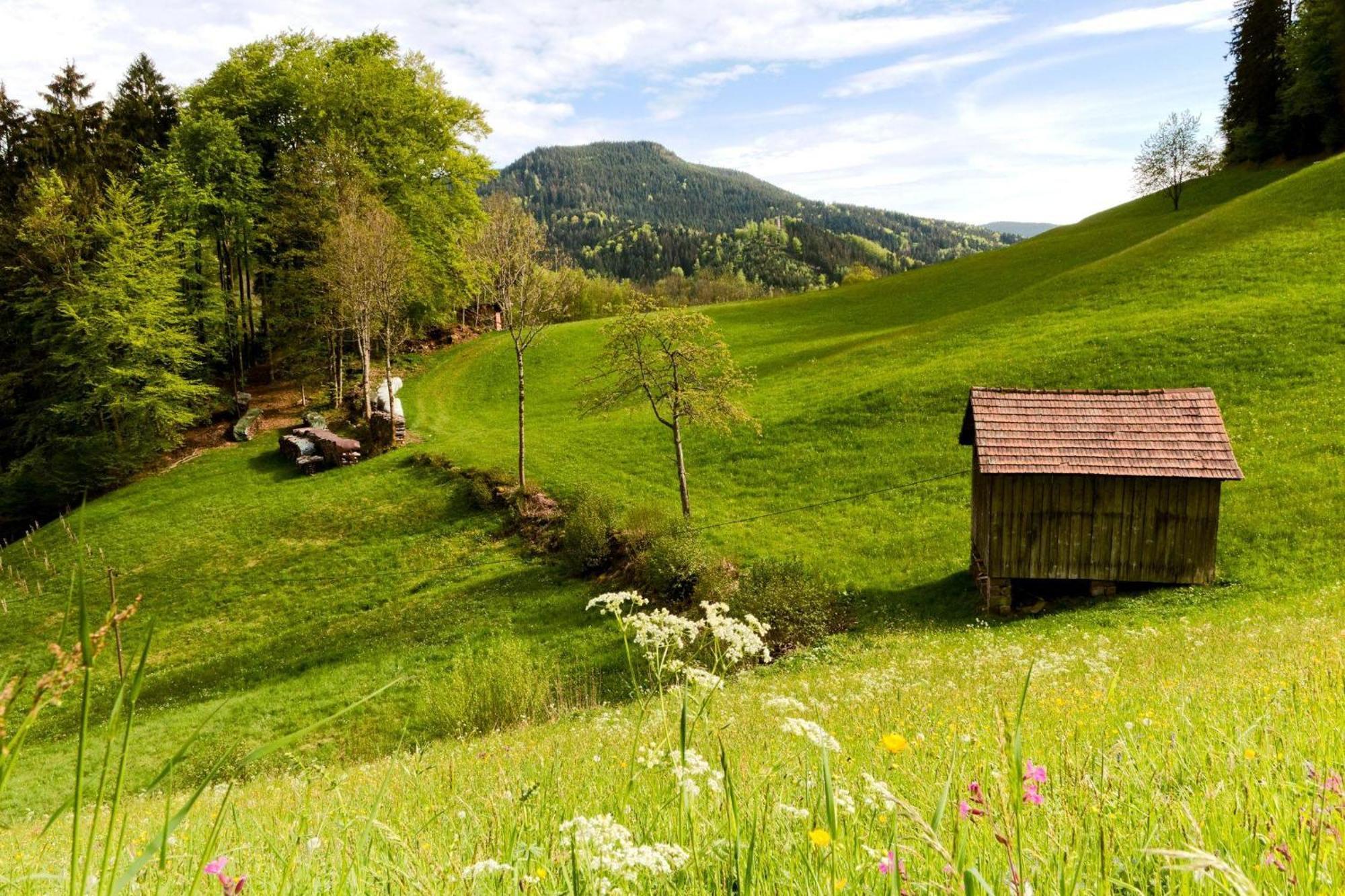 Ferienwohnung Am Kapellenberg - Am Rande Des Nationalparks Schwarzwald Бад-Петерсталь-Грисбах Экстерьер фото